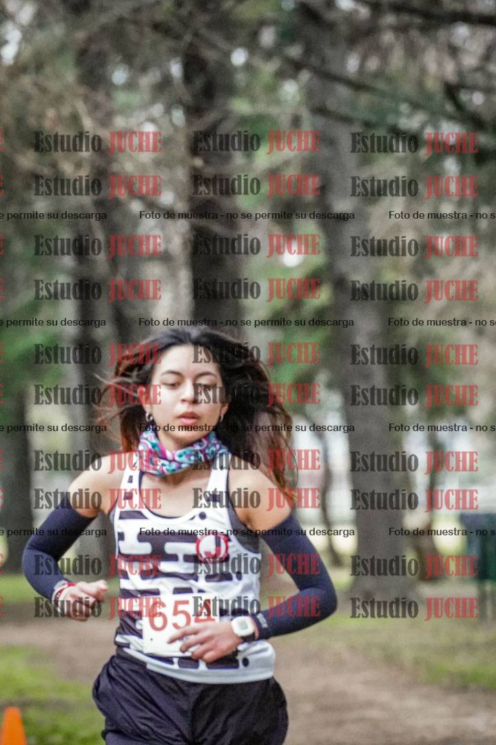 Fotos en el circuito
