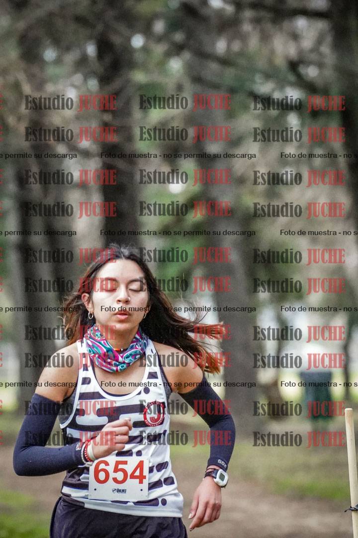 Fotos en el circuito