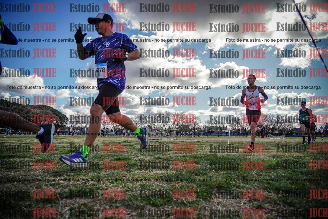 Fotos en el circuito
