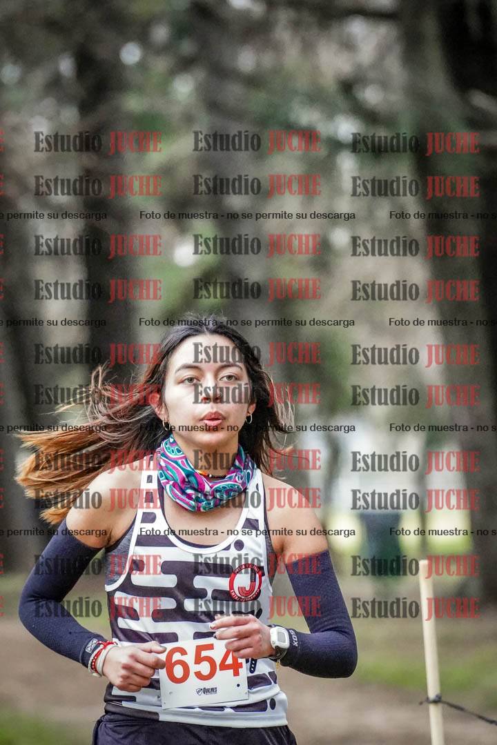 Fotos en el circuito