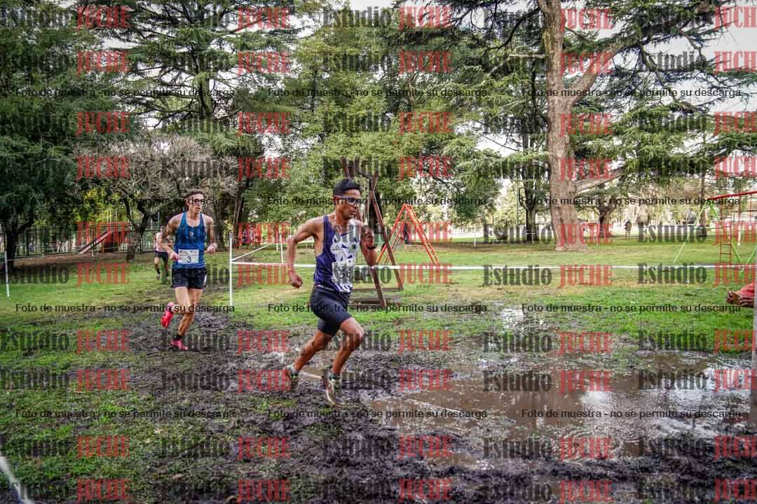 Fotos en el circuito