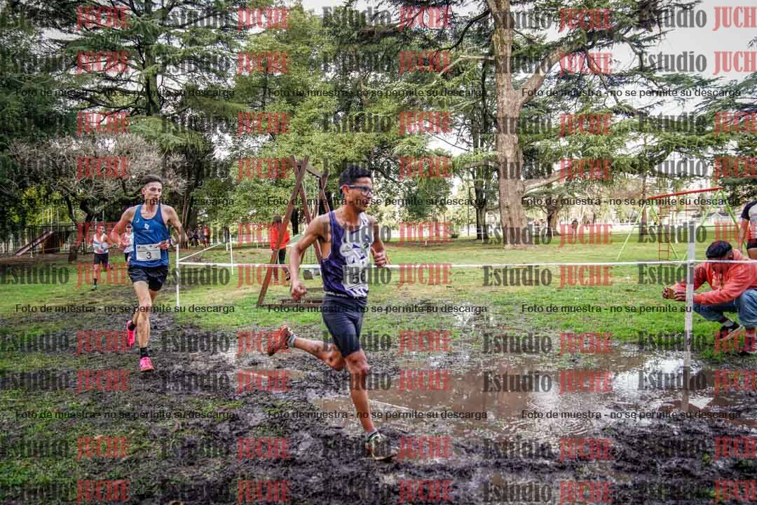 Fotos en el circuito