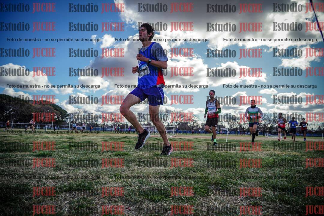 Fotos en el circuito
