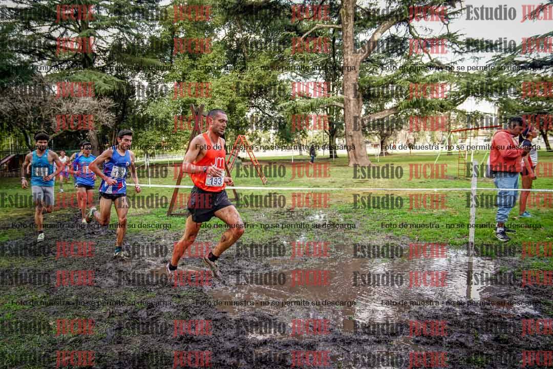 Fotos en el circuito