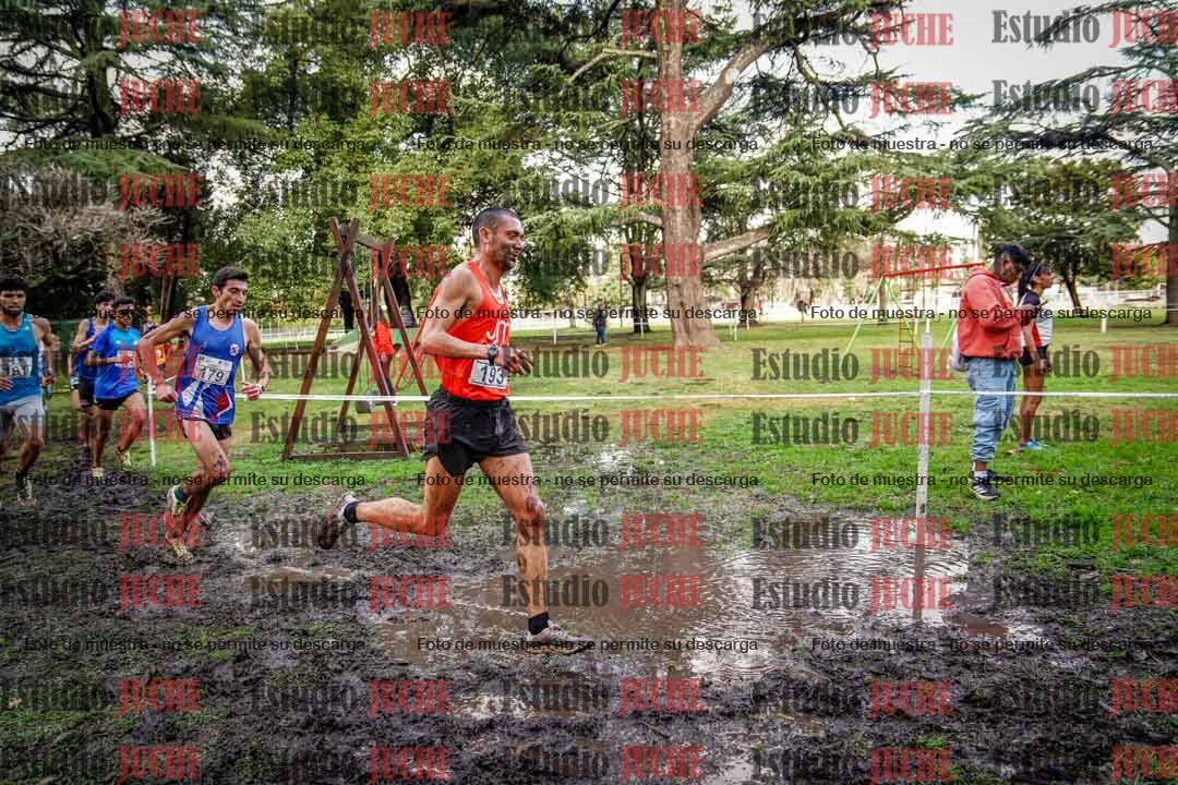 Fotos en el circuito
