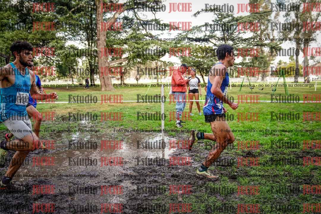 Fotos en el circuito