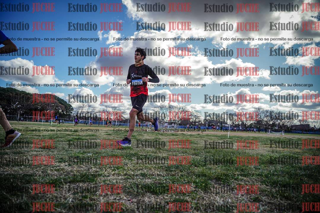 Fotos en el circuito