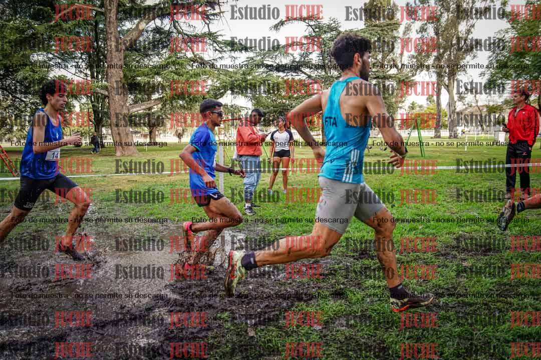 Fotos en el circuito