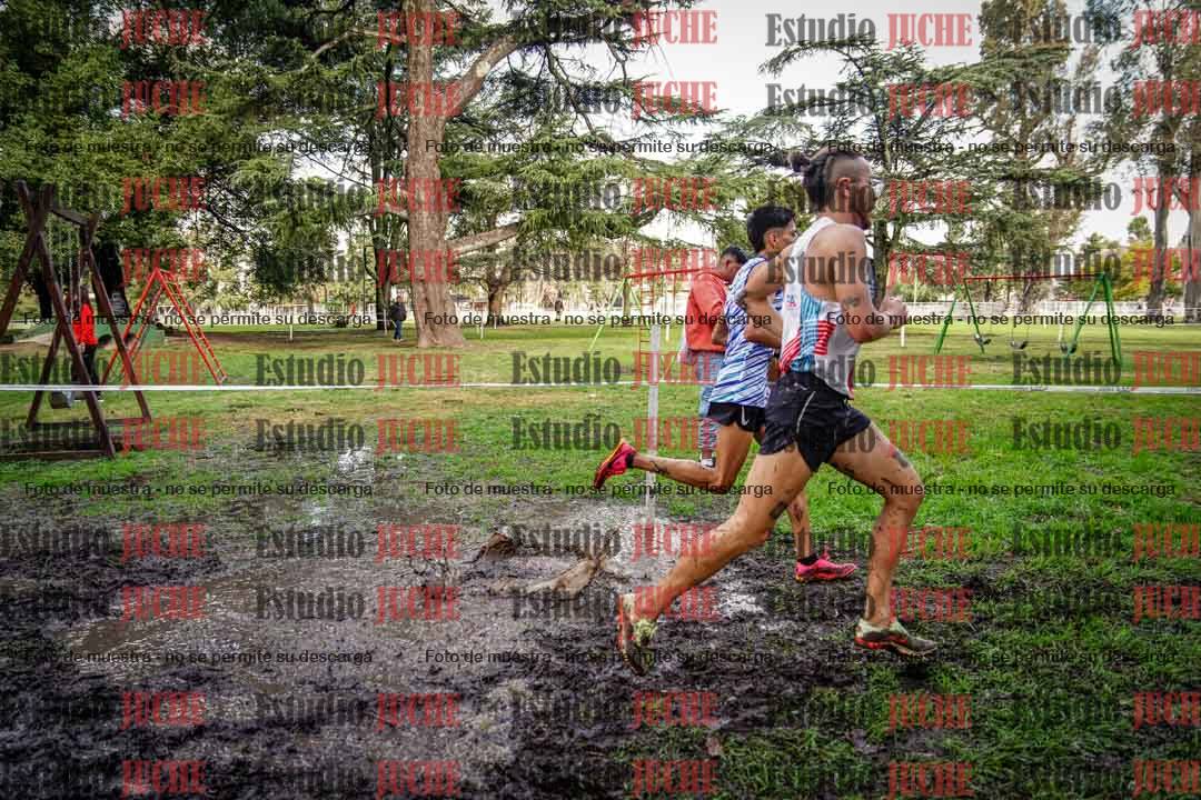 Fotos en el circuito