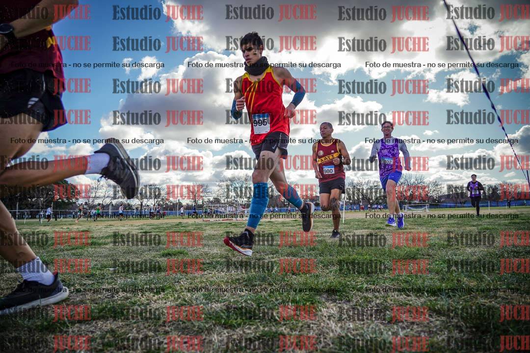 Fotos en el circuito
