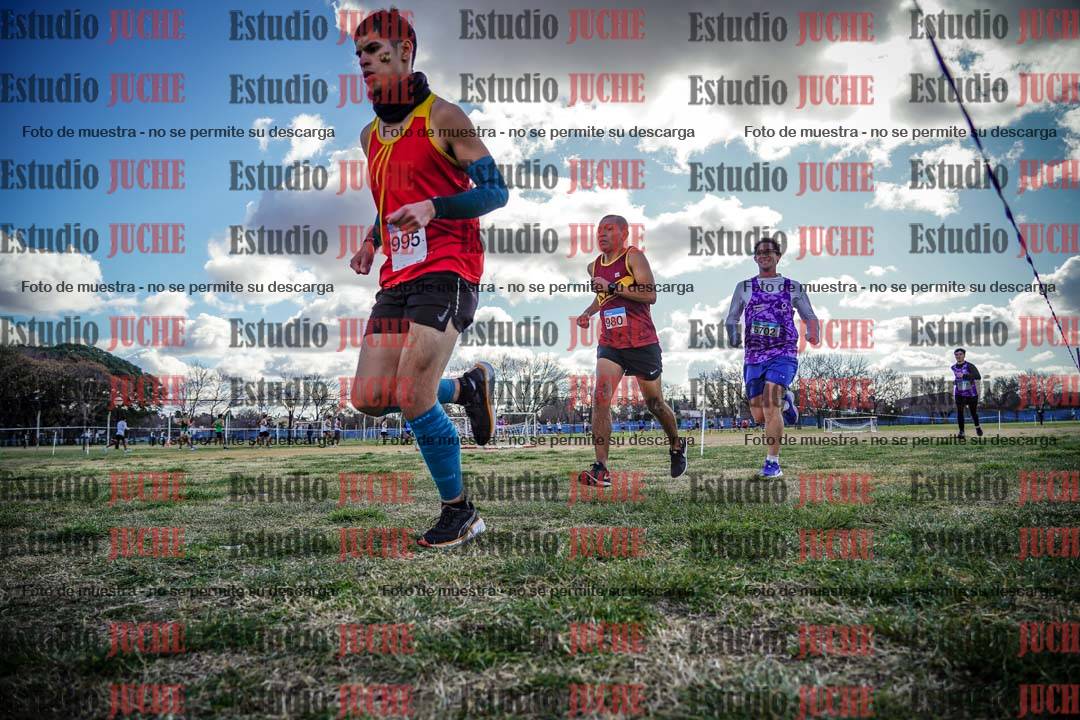 Fotos en el circuito