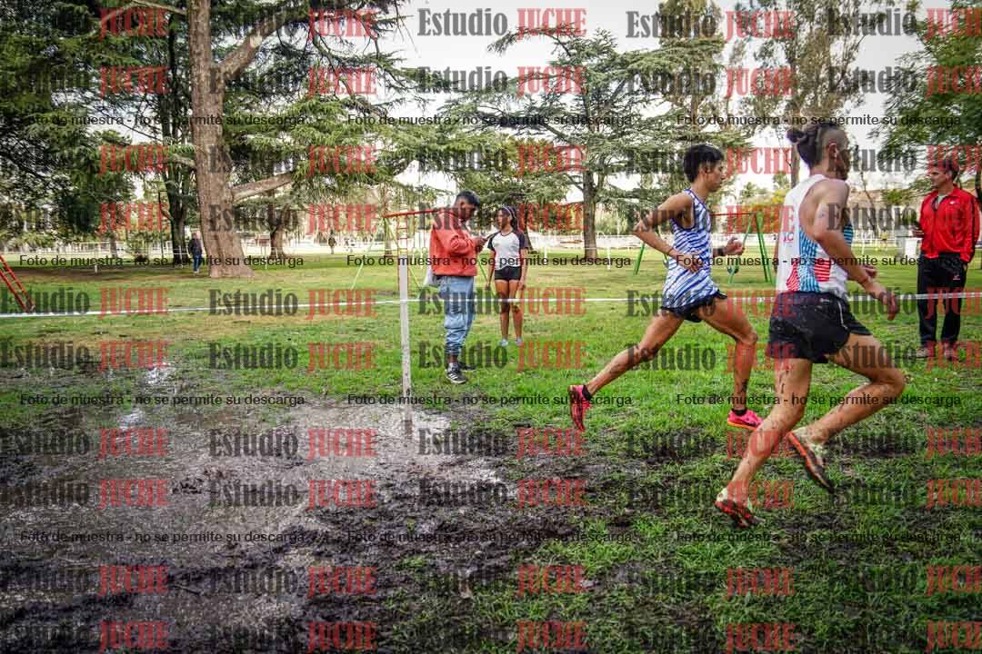 Fotos en el circuito