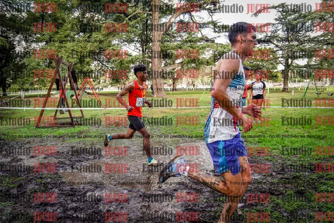Fotos en el circuito