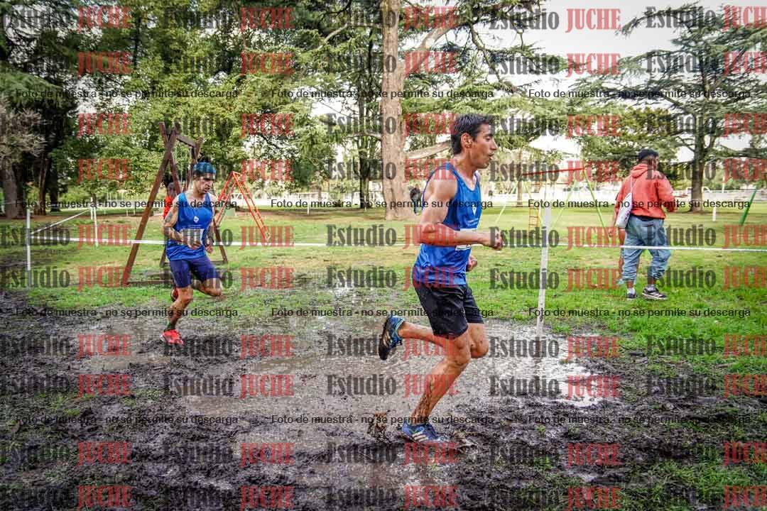 Fotos en el circuito