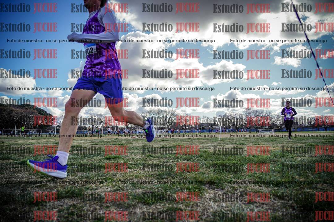 Fotos en el circuito