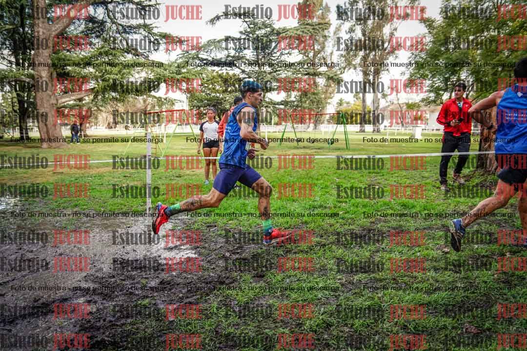 Fotos en el circuito