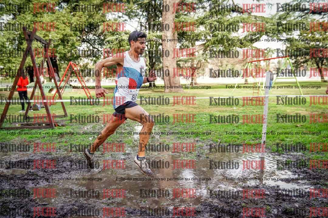 Fotos en el circuito