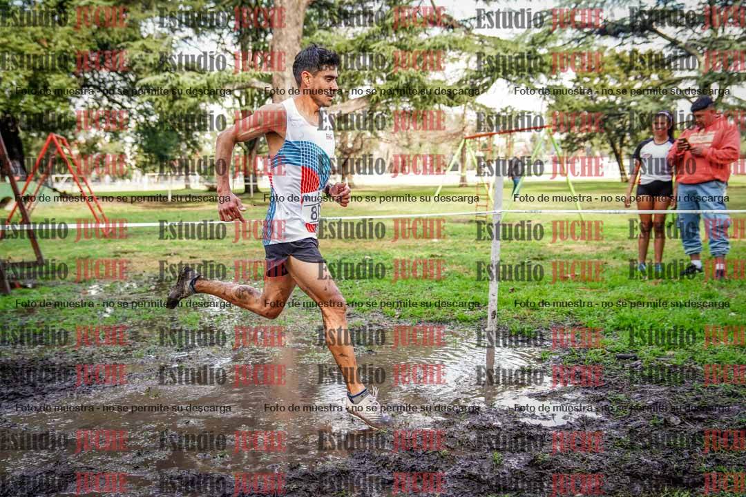 Fotos en el circuito