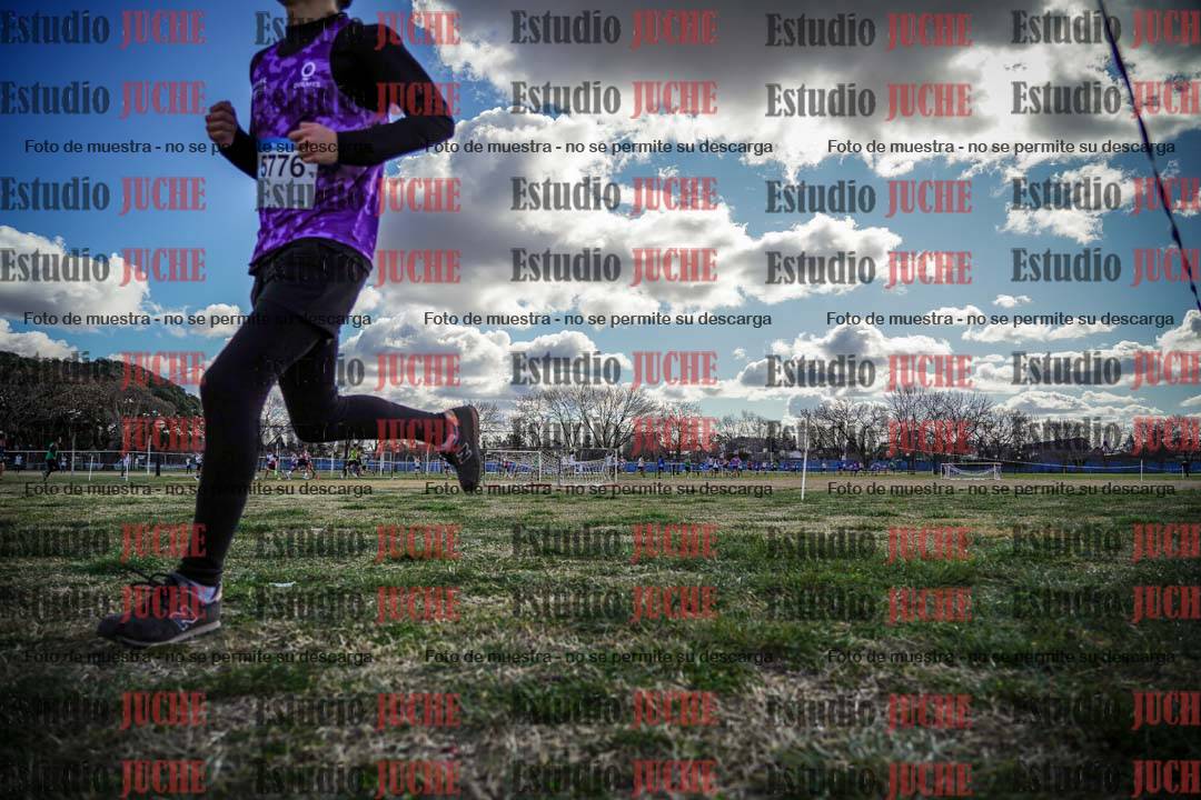 Fotos en el circuito