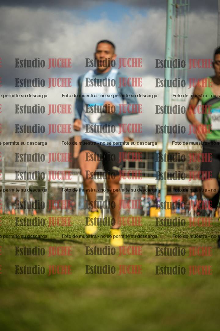 Fotos en el circuito