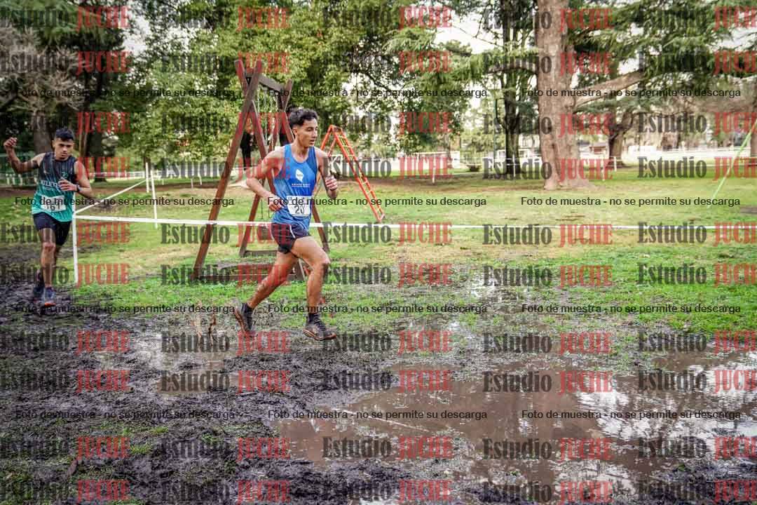 Fotos en el circuito