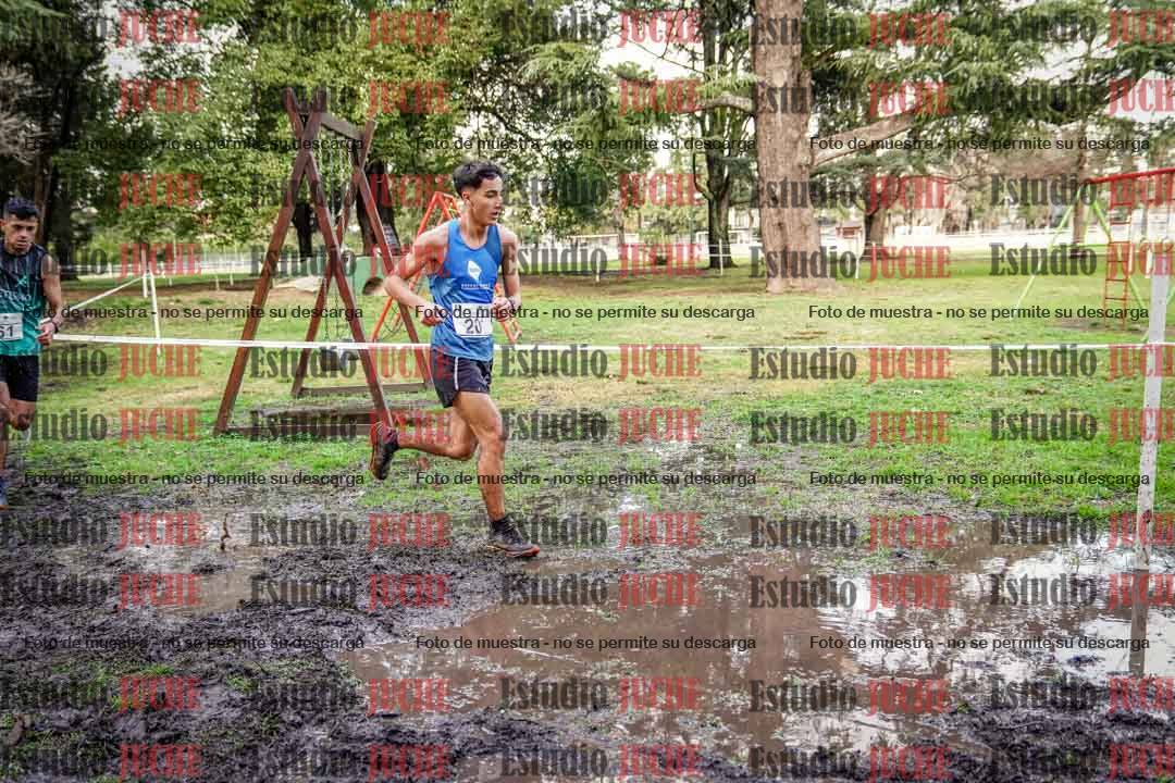 Fotos en el circuito