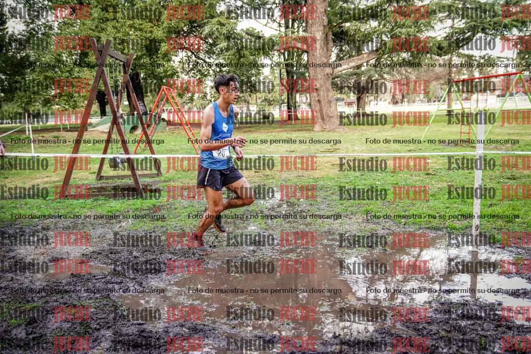 Fotos en el circuito