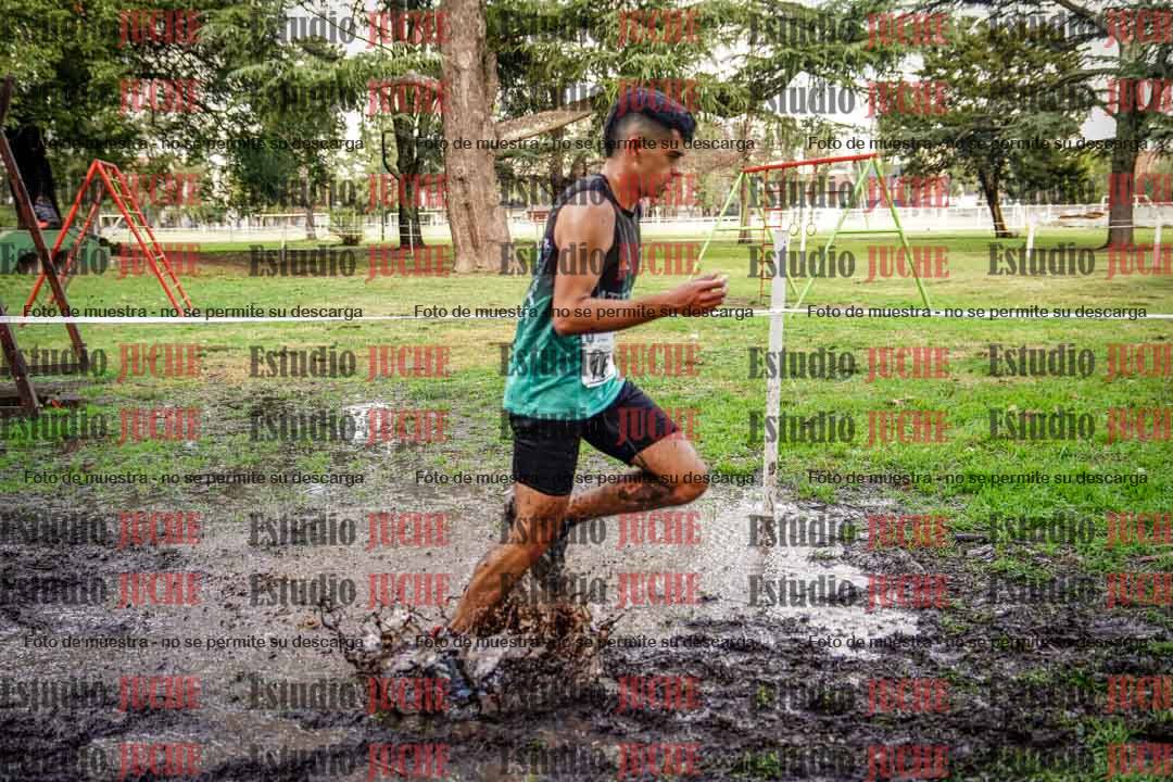Fotos en el circuito