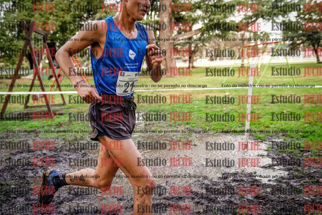 Fotos en el circuito