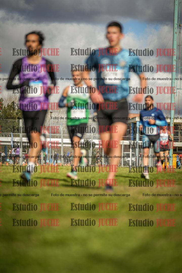 Fotos en el circuito