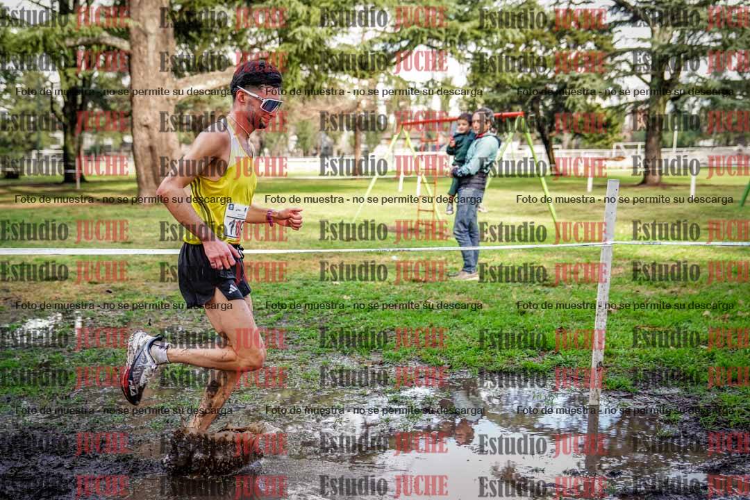 Fotos en el circuito