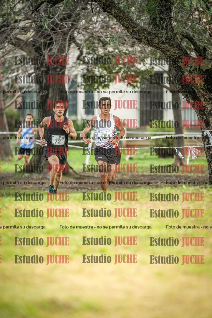 Fotos en el circuito