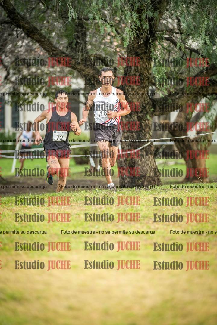 Fotos en el circuito