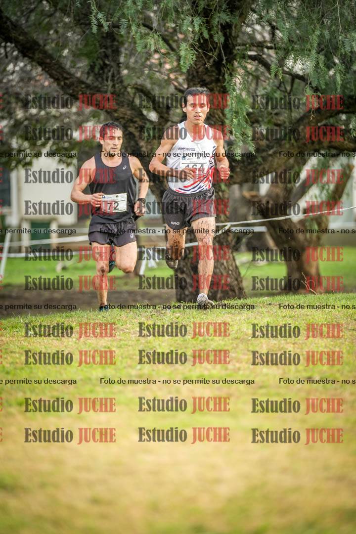 Fotos en el circuito