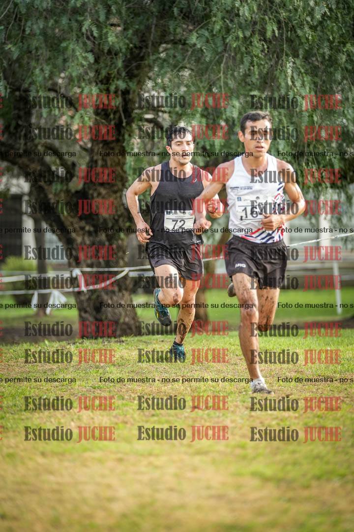 Fotos en el circuito