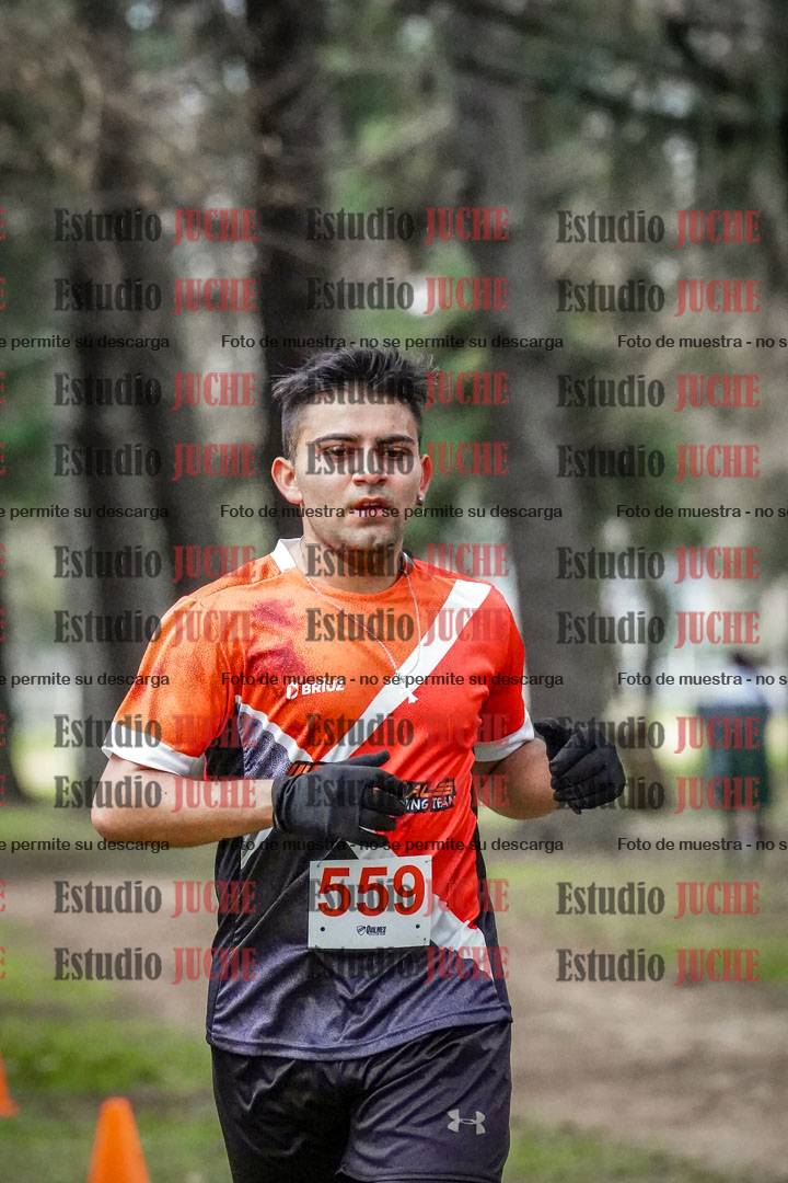 Fotos en el circuito