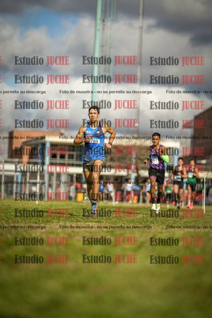 Fotos en el circuito