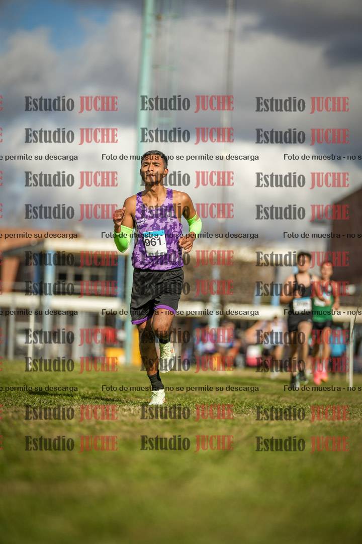Fotos en el circuito