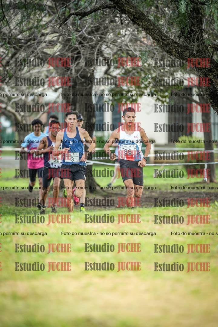 Fotos en el circuito