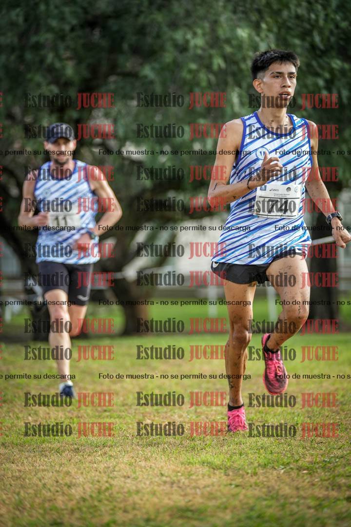 Fotos en el circuito