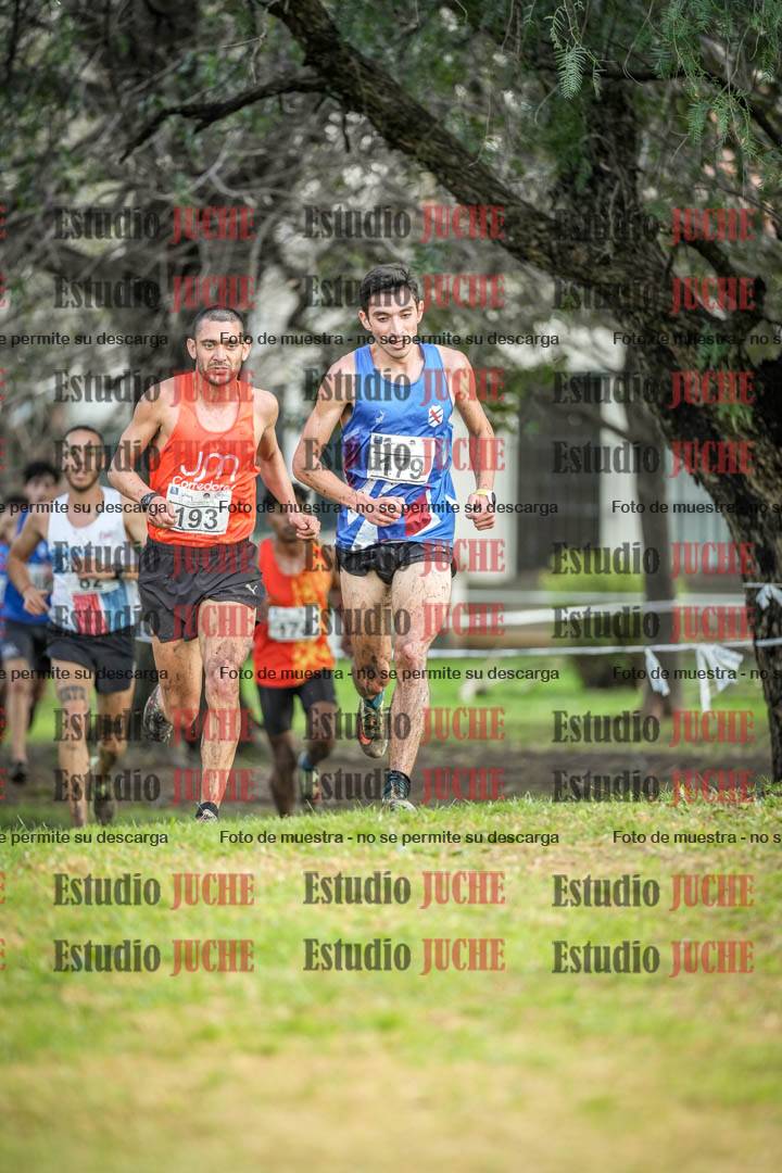 Fotos en el circuito