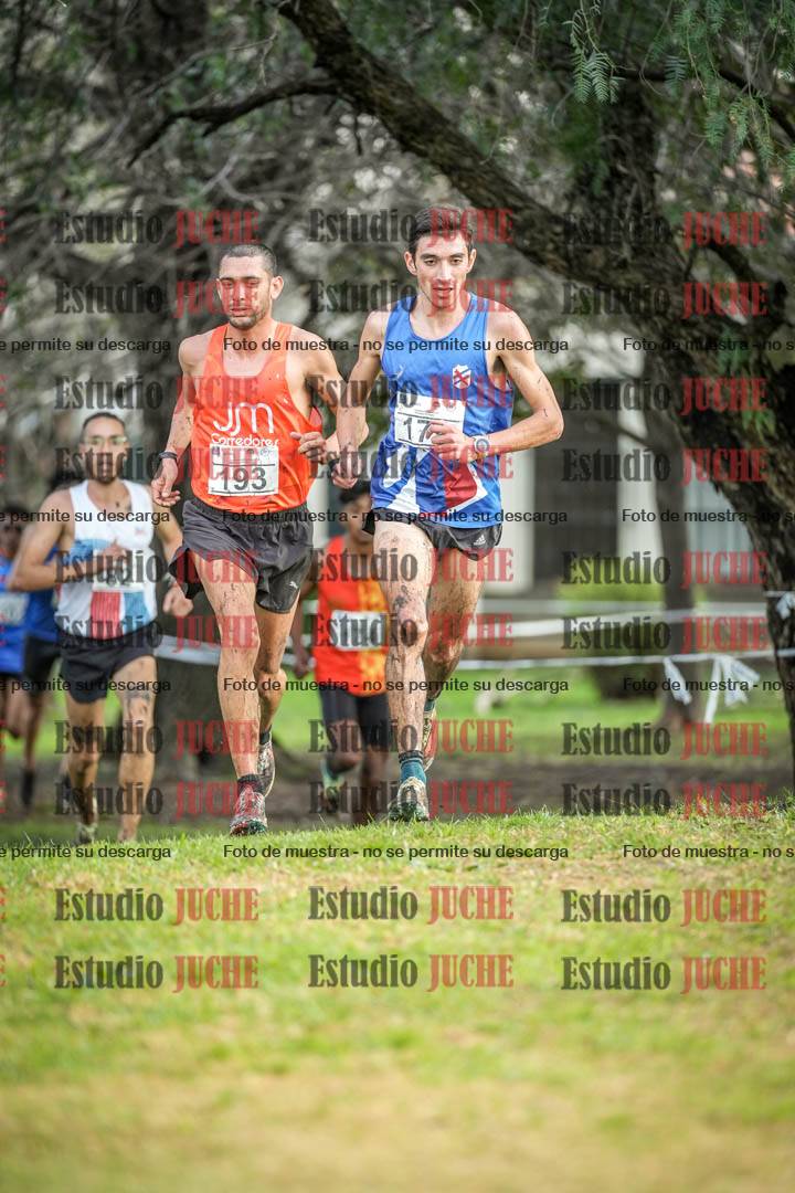 Fotos en el circuito