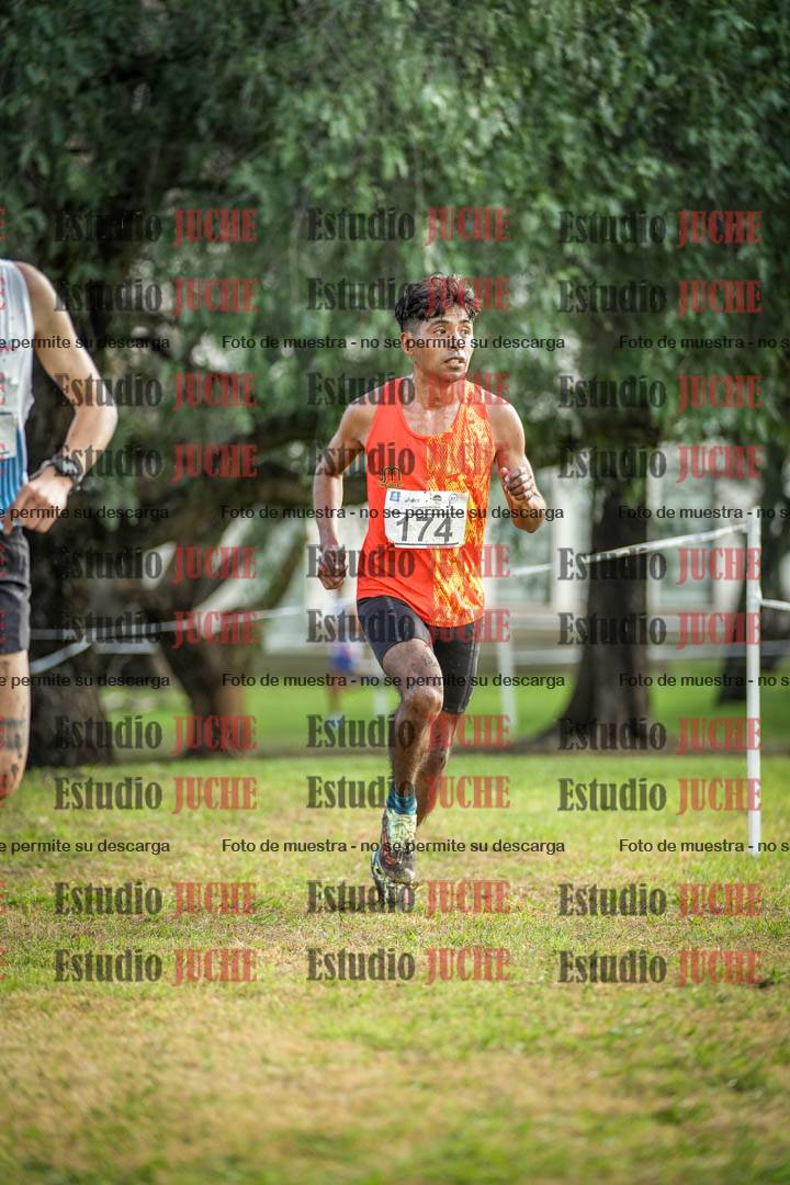 Fotos en el circuito