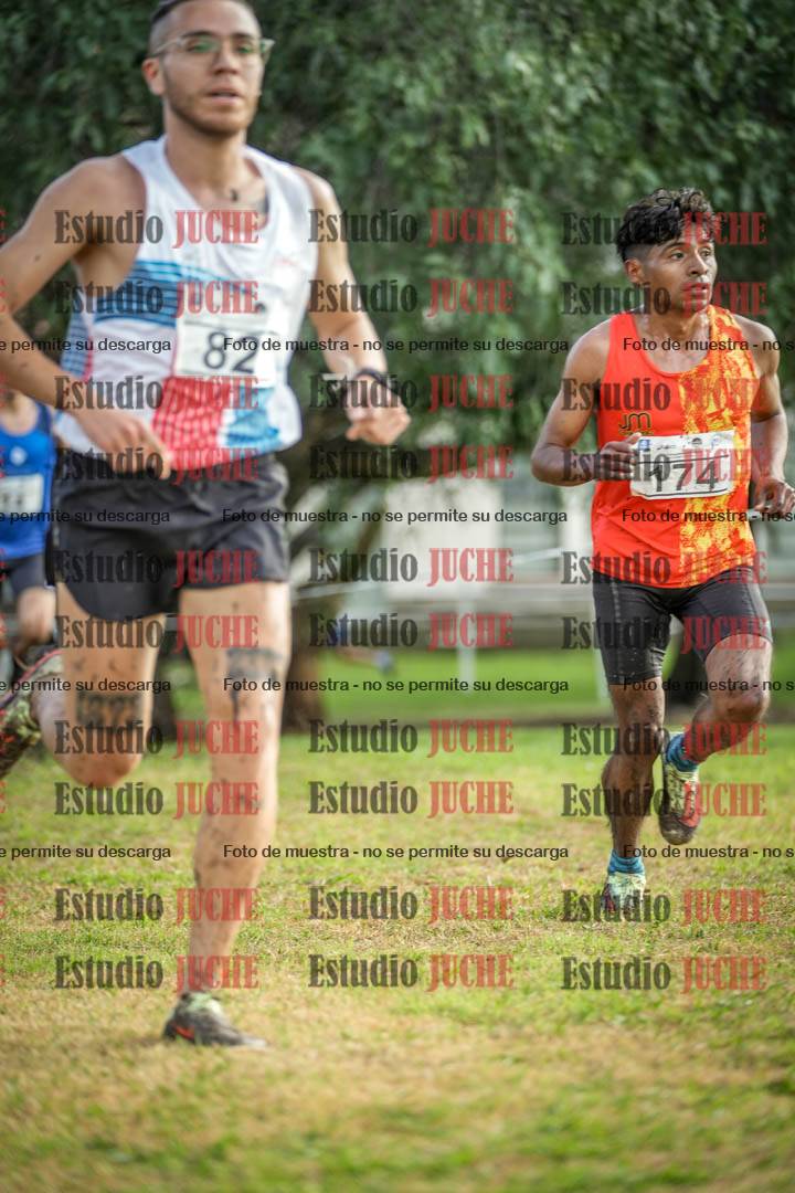 Fotos en el circuito
