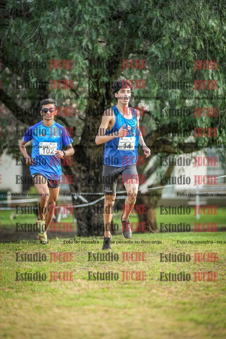 Fotos en el circuito