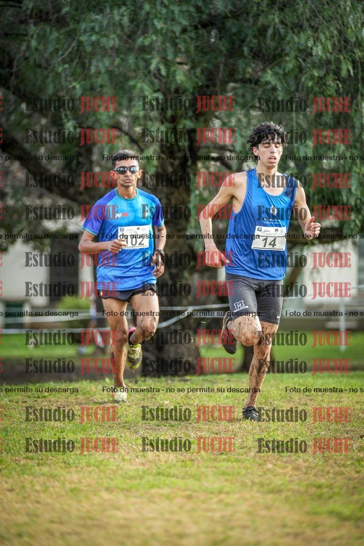 Fotos en el circuito