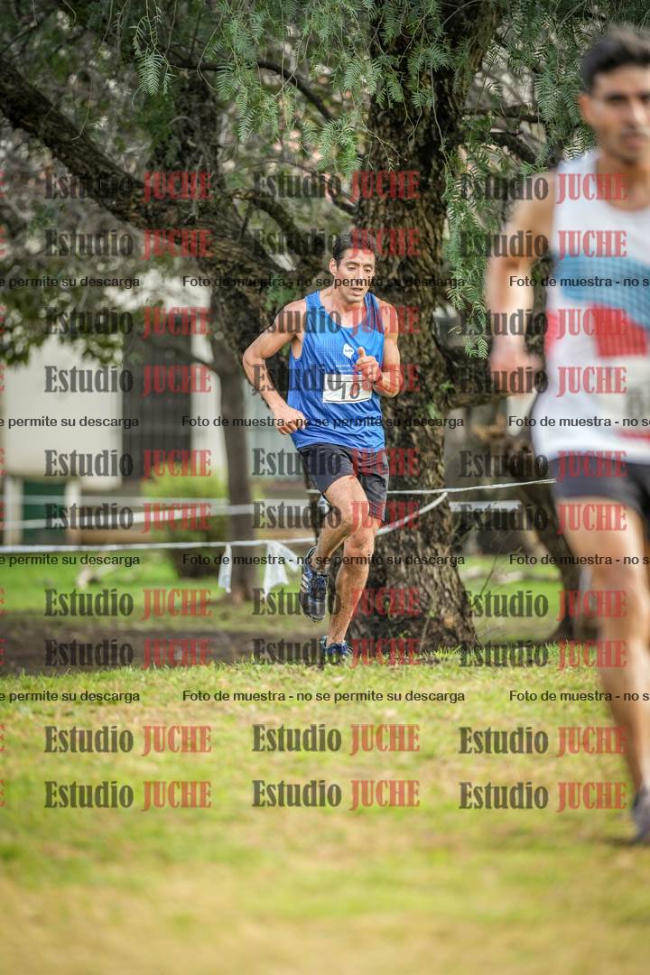 Fotos en el circuito