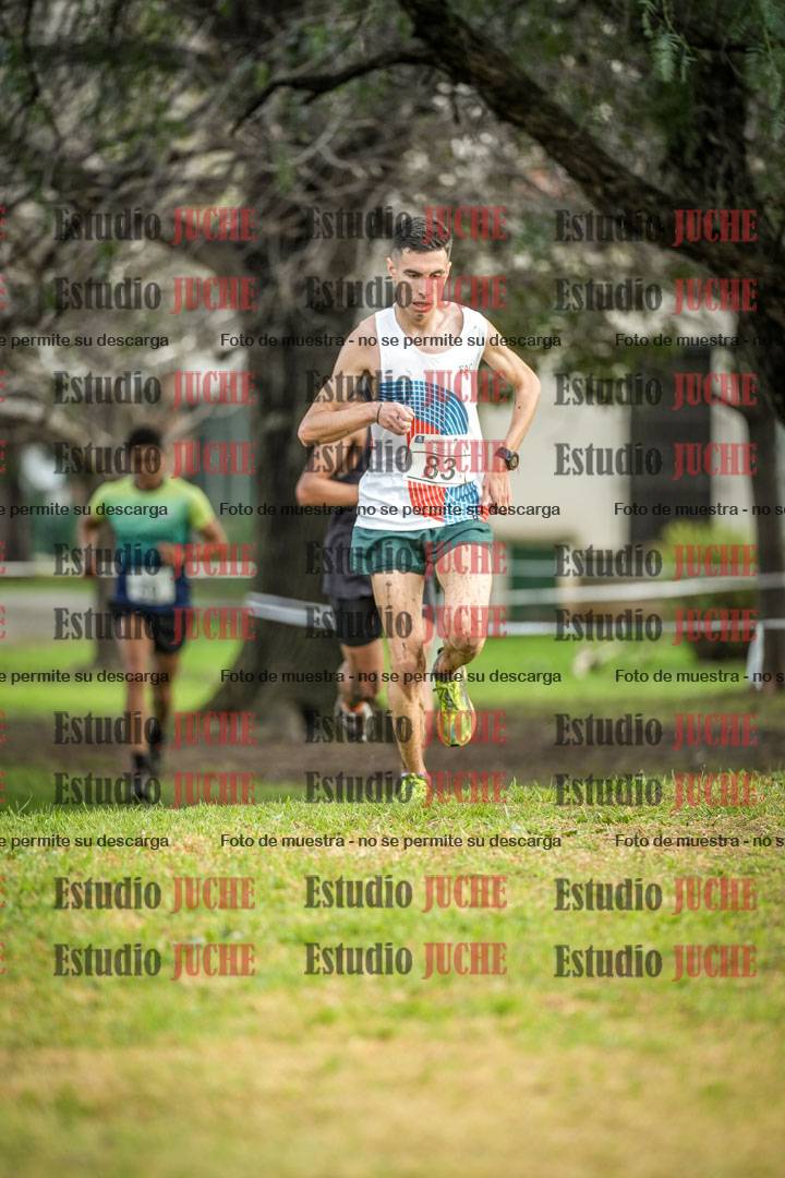 Fotos en el circuito