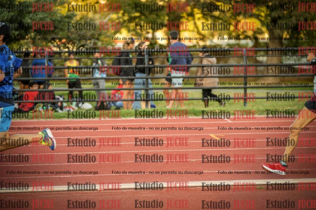 Fotos de los 3000 m llanos de varones