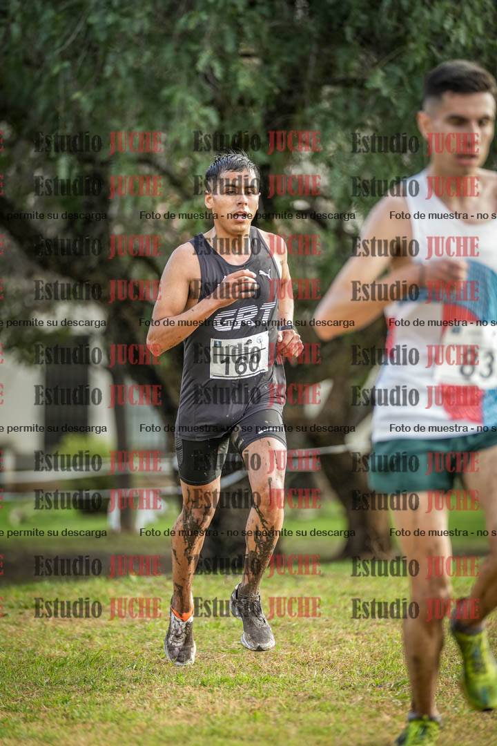 Fotos en el circuito